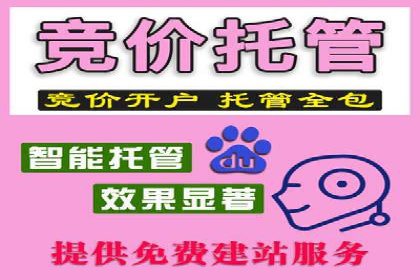 百度竞价推广的技巧与策略：某企业成功案例分享